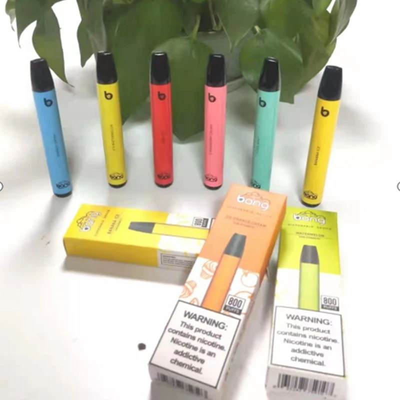 뱅 미니 800 퍼프 일회용 Vape