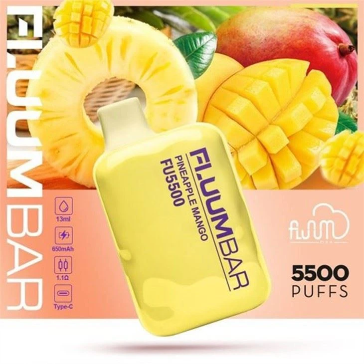Fluum Bar 5500 베이프