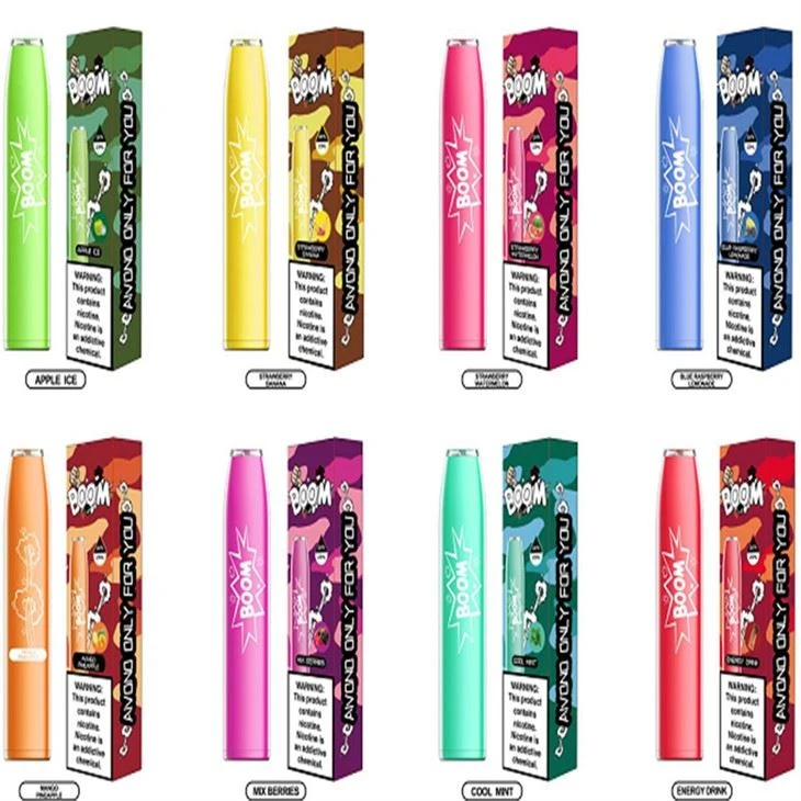 OEM/ODM 600 PUFFS 일회용 전자 담배 Vapes