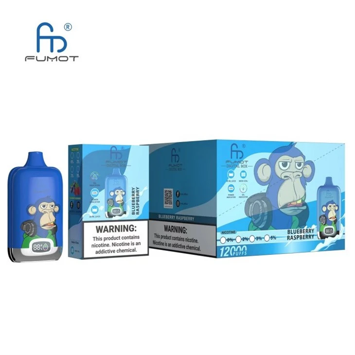FUMOT 디지털 박스 12000 퍼프