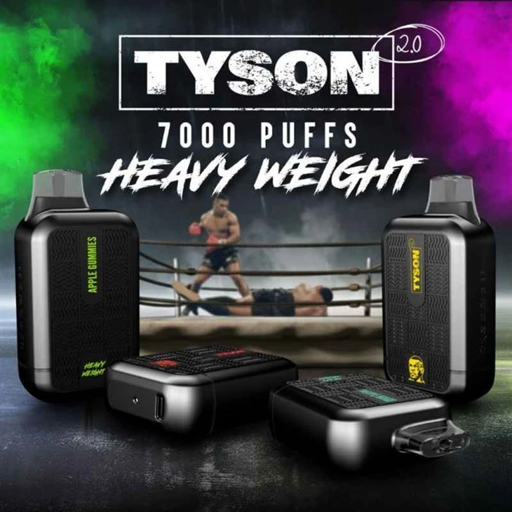Tyson 2.0 헤비급
