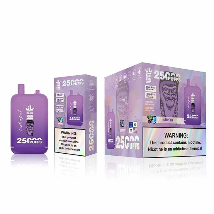 Bang King 25000 퍼프 듀얼 탱크