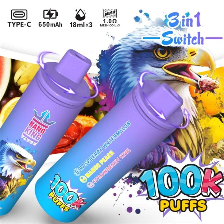 BANG KING VAPEN 트리플 3인치1 100K