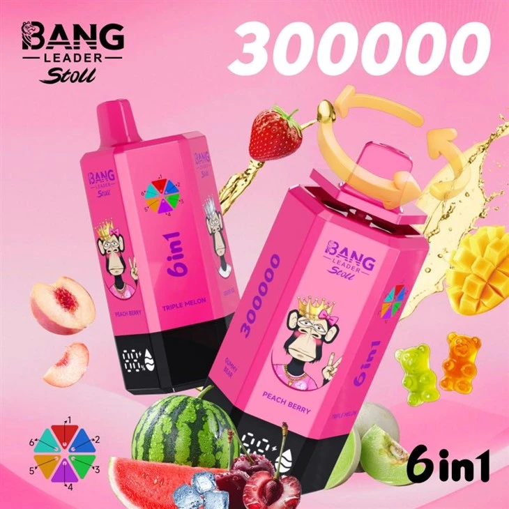 뱅 리더 300K 퍼프