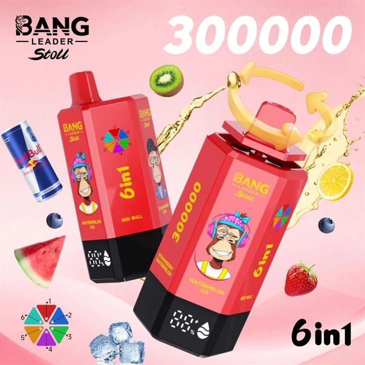 뱅 리더 300K