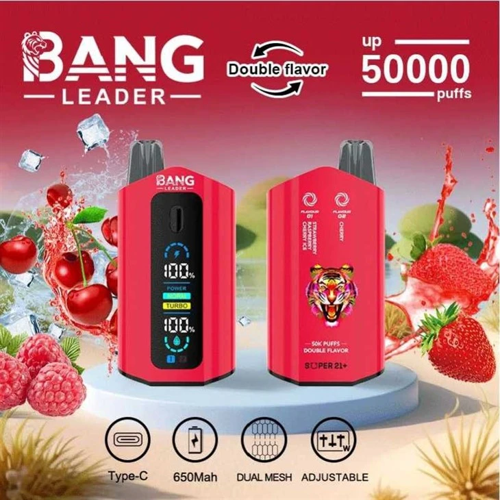 뱅 리더 50000 퍼프 듀얼 맛