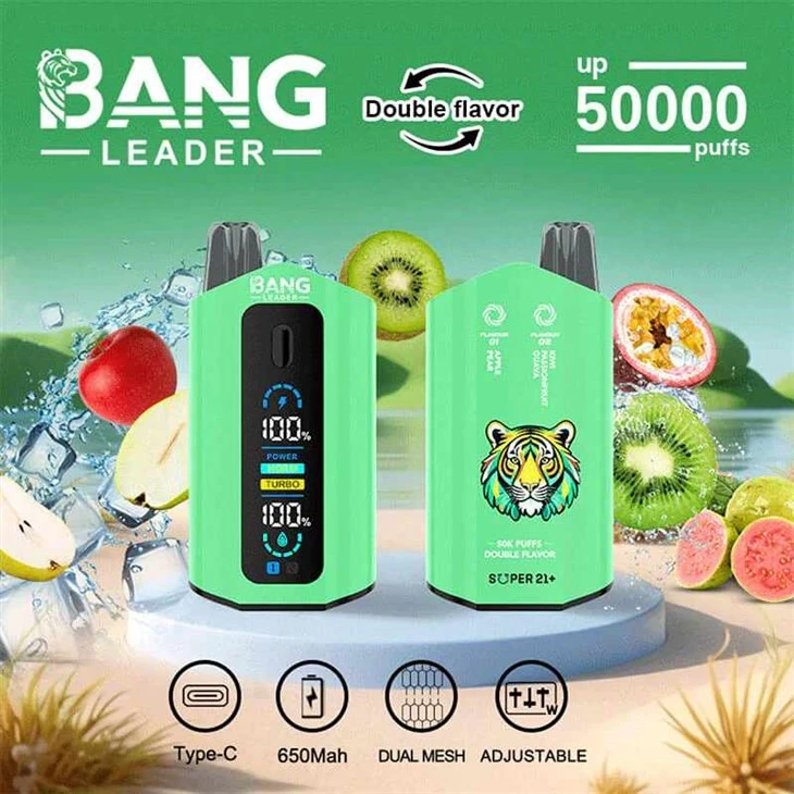 뱅 리더 50000