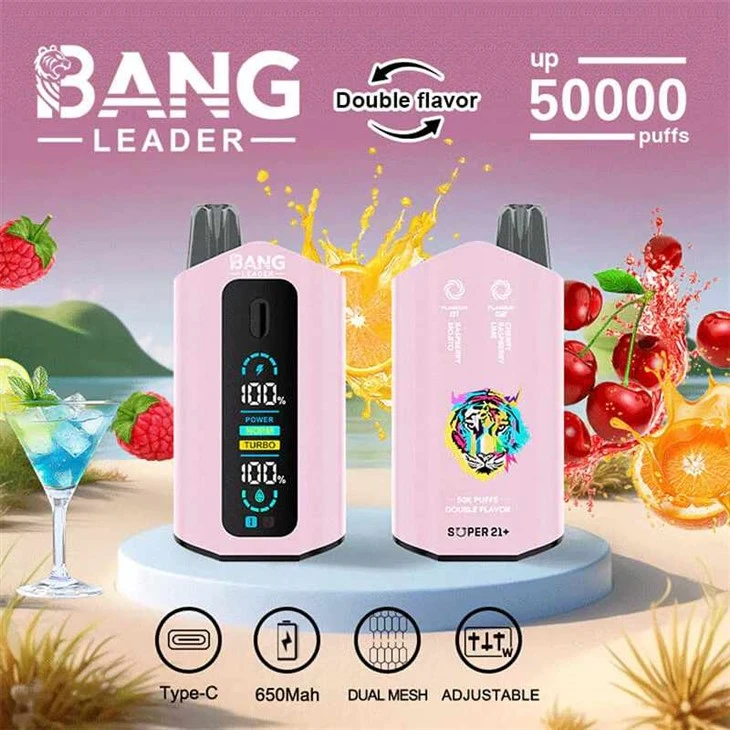 뱅 리더 50k 퍼프 듀얼 맛