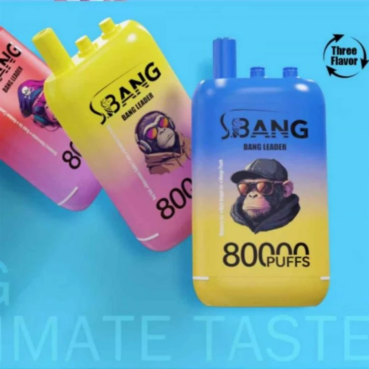 뱅 리더 80000 퍼프