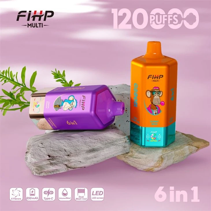 1 120K 단위의 FIHP 6