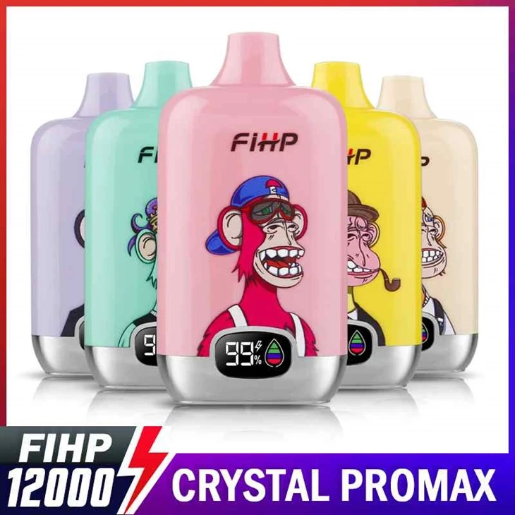 FIHP 디지털 박스 12000 퍼프 베이프