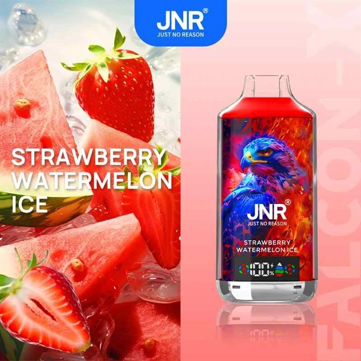 JNR 팔콘 X 18K