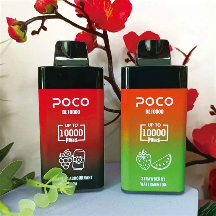 포코 BL10000 퍼프