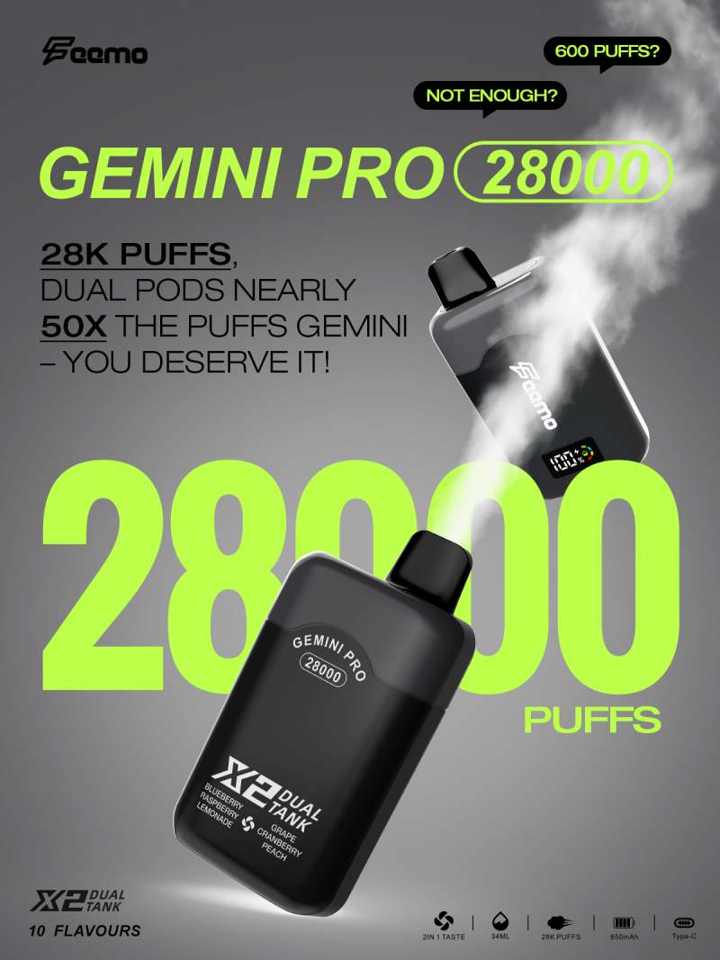 Feemo GEMINI PRO 28000 13 Feemo GEMINI PRO 28000 13