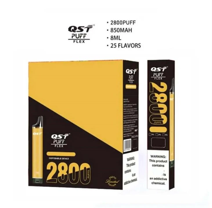 QST 플렉스 2800