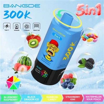 1 300K의 방드 5