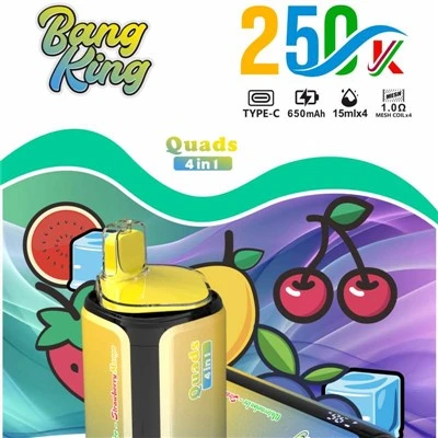 BANG KING 쿼드 250000 4in1