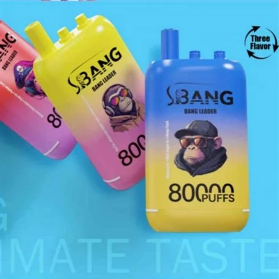 뱅 리더 80000 퍼프 트리플 맛