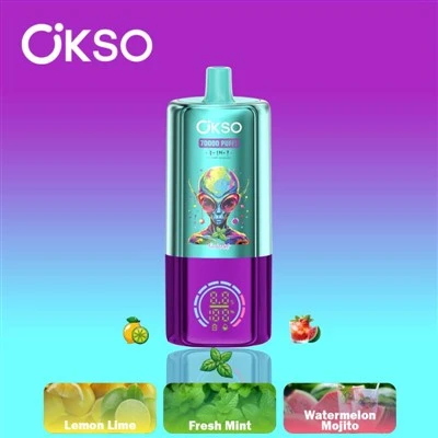 OKSO 3IN1 70000 퍼프스 베이프