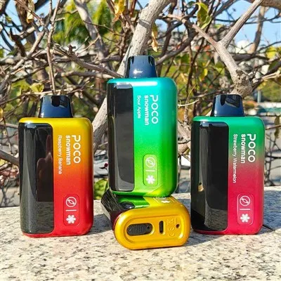 포코 눈사람 70K