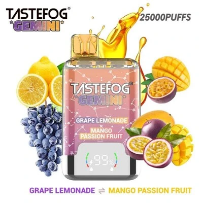 Tastefog gemini 25000 퍼프