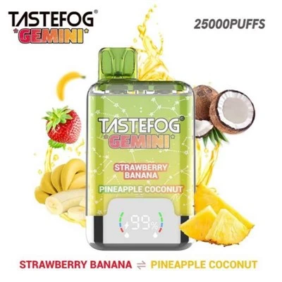 Tastefog gemini 25k