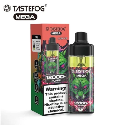 TASTEFOG MEGA 12000 퍼프