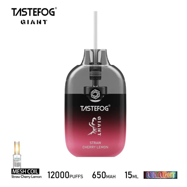 TASTFOG 자이언트 12000