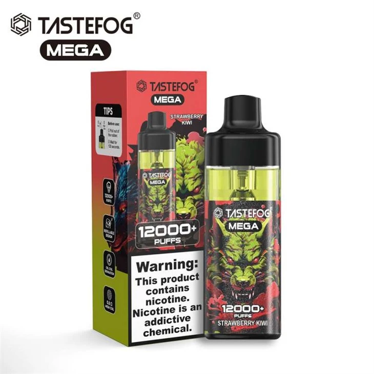 TASTEFOG MEGA 12000 래즈 바 12000