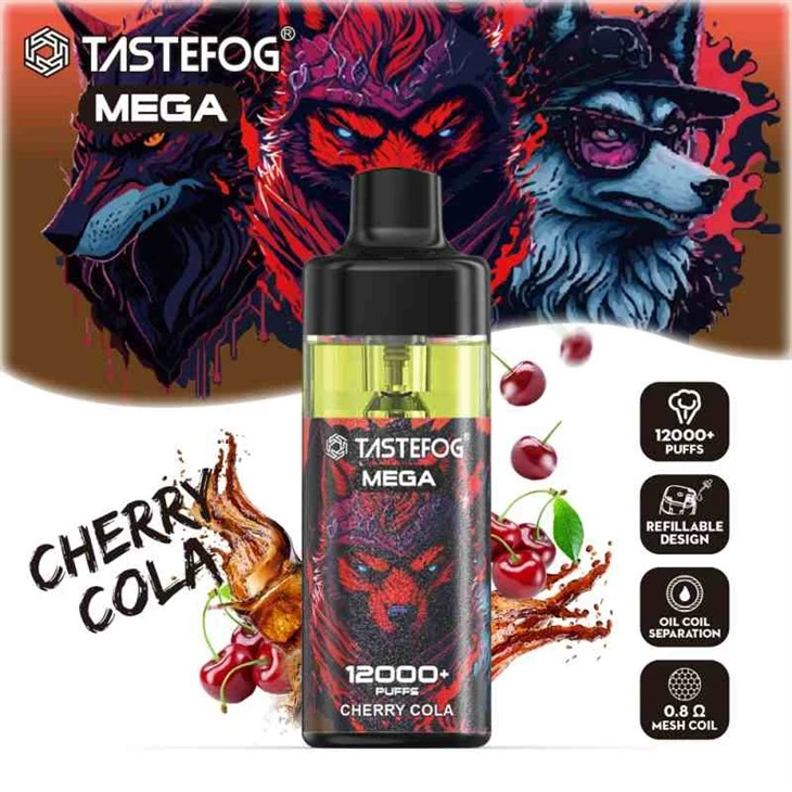 TASTEFOG MEGA 12000 래즈 바