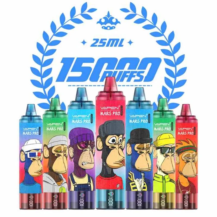 베이펜 미세스 프로 15000