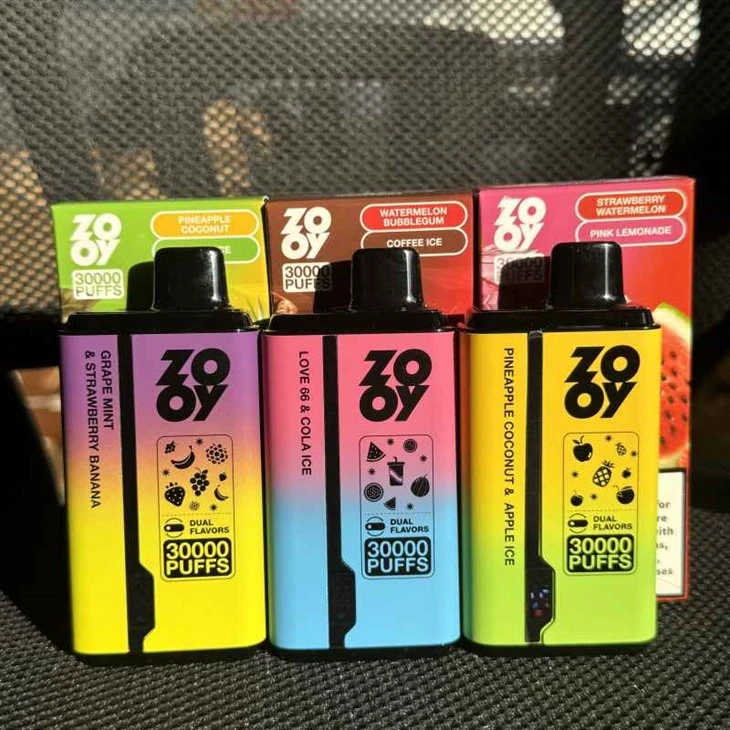 동물원 쌍둥이 30000 퍼프 vape